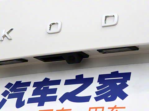 2019�� TSI230 DSG���к����� ��VI