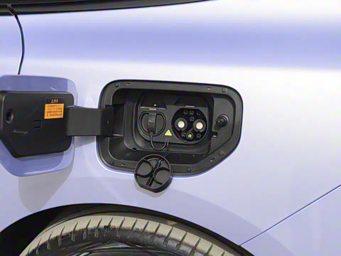 2025�� ���� 565����Max�캽��