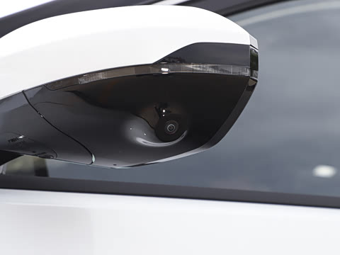 2025�� 205��������������