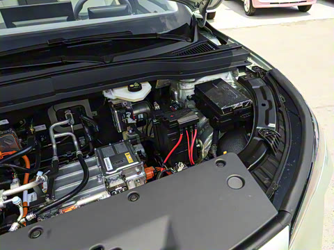 2025�� 565km ������