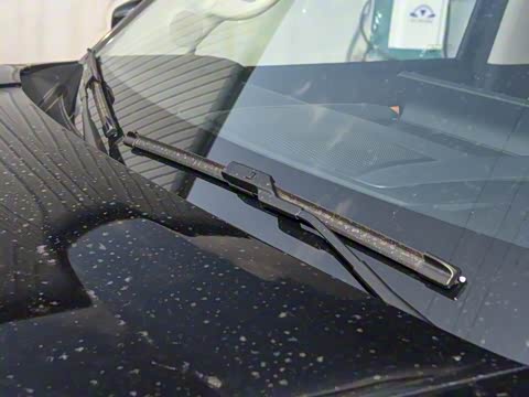 2025�� 2.0T 4WD Pro