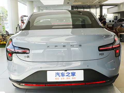 2025�� 502 ������ Max