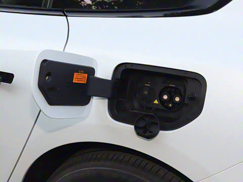 2025�� ���� 550������