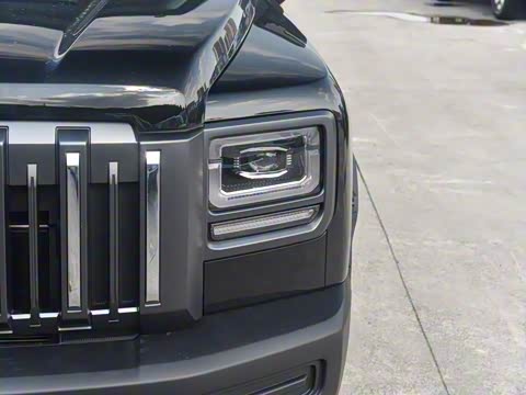 2025�� 2.0T 4WD Pro