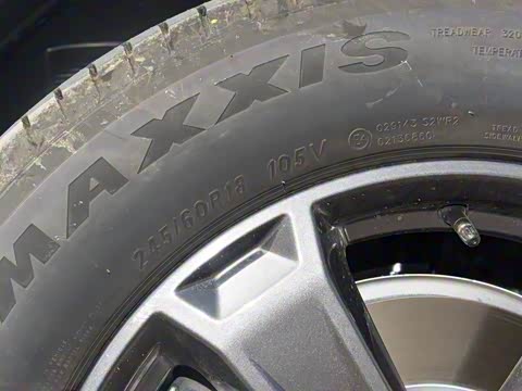 2025�� 2.0T 4WD Pro