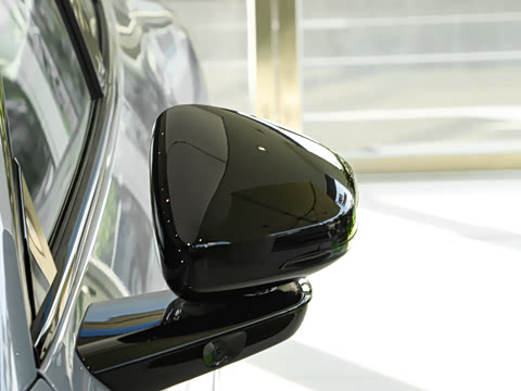 2025�� 502 ������ Max