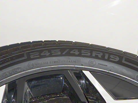 2025�� �����˶���