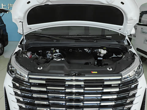 2025�� MAX 2.0T �Զ������� ���� 7��