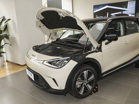 2026�� �鶯������