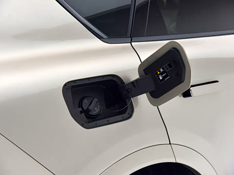 2025�� FREE+ ����Ǭ����