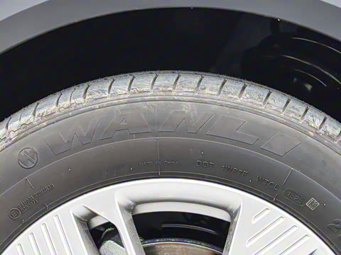 2025�� 565km ������