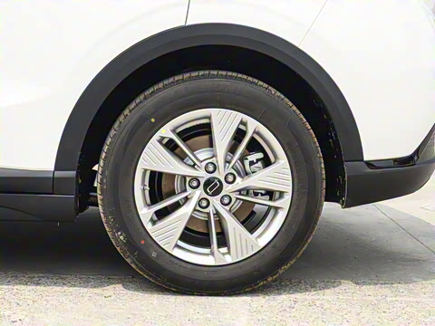 2025�� 565km ������