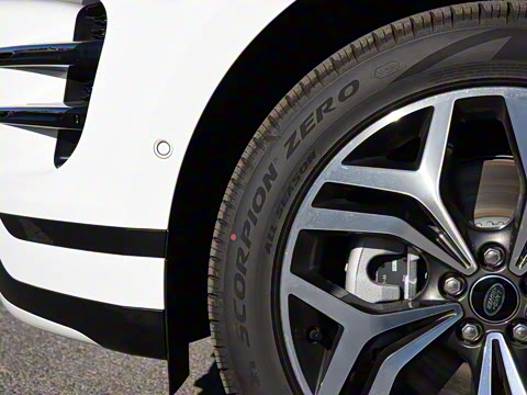 2021�� ����L P300e ������