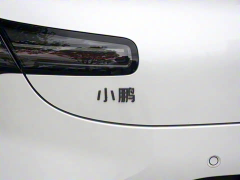 2025�� 600 �������� Max