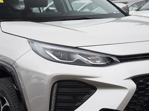 2023�� �����ܰ� 2.5L ���������