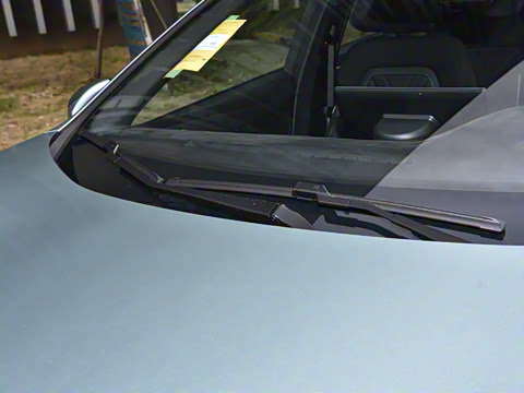 2025�� �Ŀ� ���羫Ӣ��