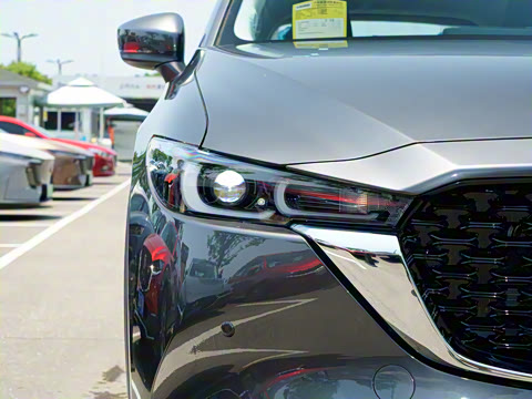 2025�� 2.0L �Զ�����������