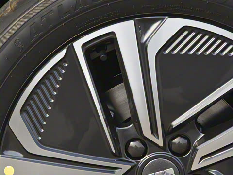 2025�� 55km ̽����