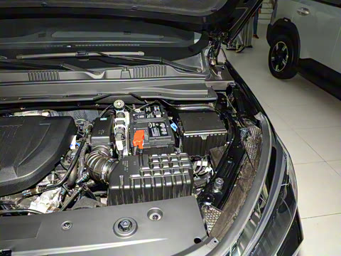 2025�� ��Խ�� 1.6TD �ֶ���PRO 7��