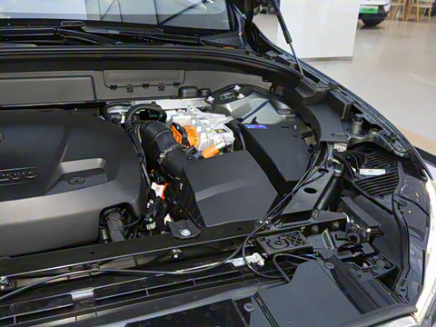 2026�� ���ʽ�춯 ������������Զ������