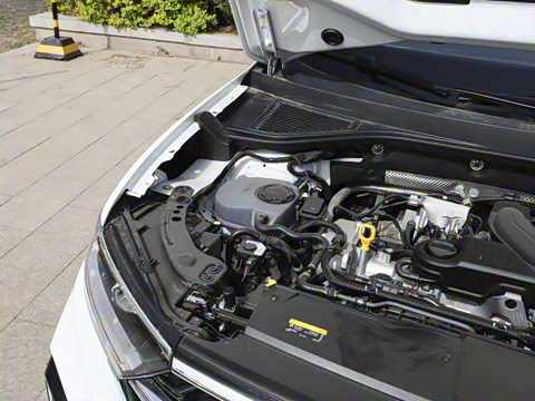 2025�� �Ŀ� 300TSI DSG���������