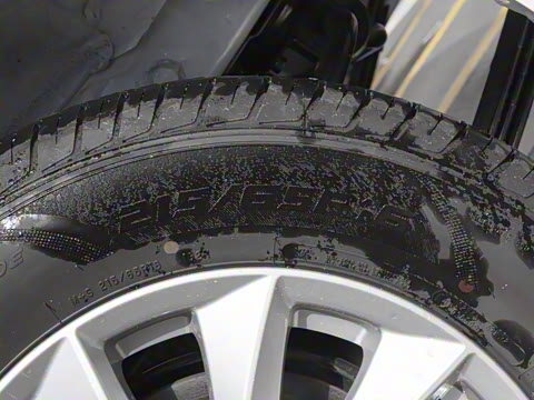 2024�� 460km ���˰� ����� 7��