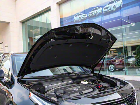 2023�� 28T ���������