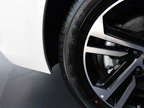 2019�� 1.4T �ֶ������