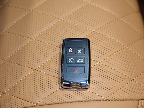 2022�� 5.0 SC V8 565PS SVA�۷��ذ�