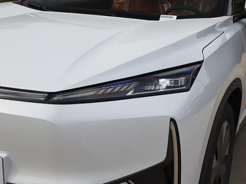 2025�� 205��������������