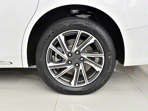 2024�� �Ŀ� ���� ��������ɭ�ְ� ����