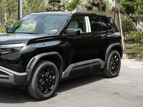 2025�� 501KM ����Max��