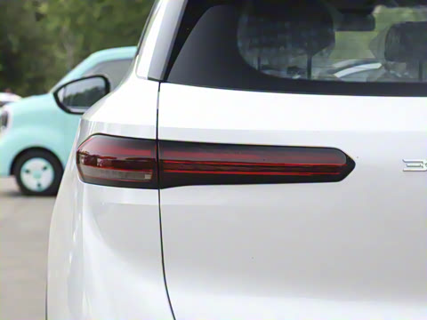 2025�� 565km ������