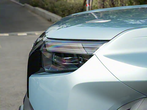 2025�� 501KM ����Max��