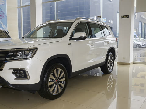 2019�� 30T ������Ⱥ�콢��