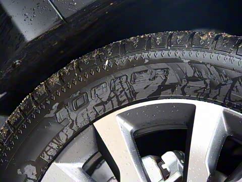 2019�� 150N �Զ���Ӣ��