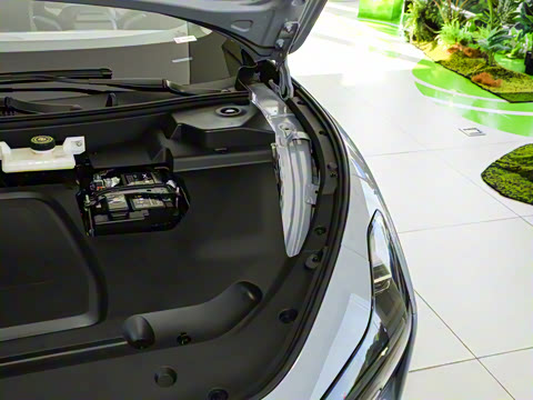 2025�� 502 ������ Max