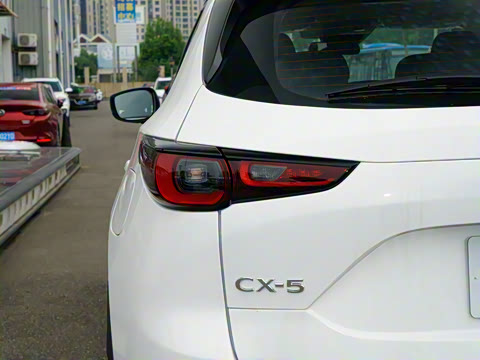 2025�� 2.0L �Զ���������Pro