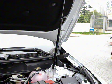 2021�� 28T ���������˶���