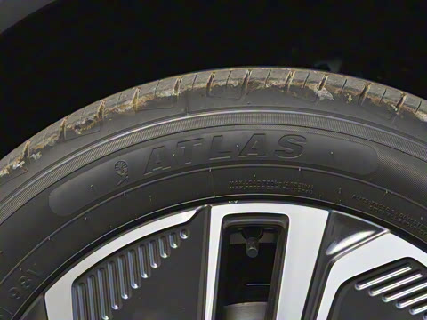 2025�� 55km ̽����