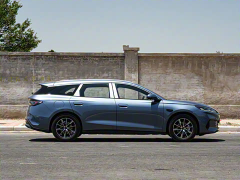 2025�� DM-i 80KM�����