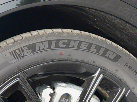 2024�� ���������Ǽݰ�