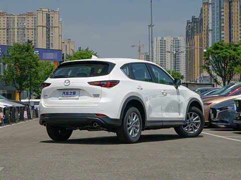 2025�� 2.0L �Զ���������Pro