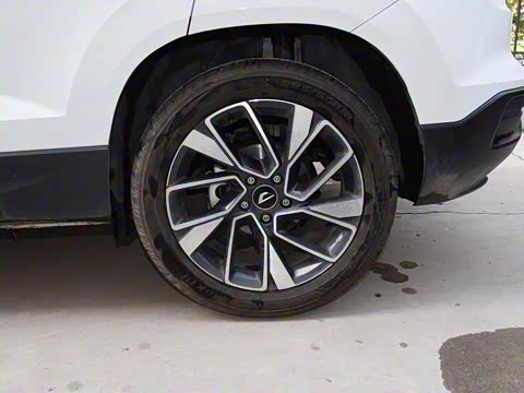 2019�� 280TSI �Զ���ҫ��