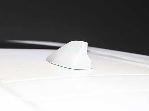 2025�� 290TGDI DCT�˷�� 