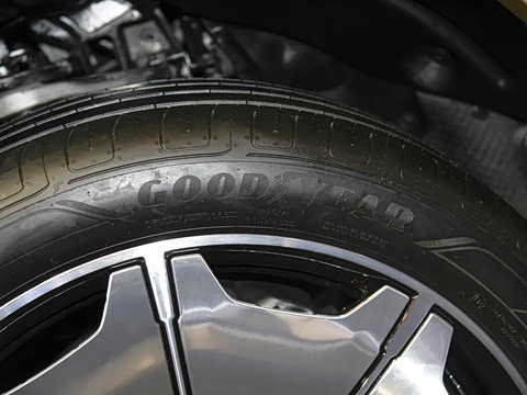 2025�� ������