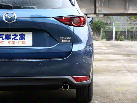 2020�� �Ŀ� 2.0L �Զ������ǻ���