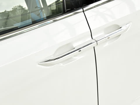 2024�� �Ŀ� ���� ��������ɭ�ְ� ����