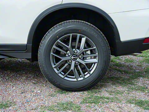 2025�� ���� 2.0L �������İ�