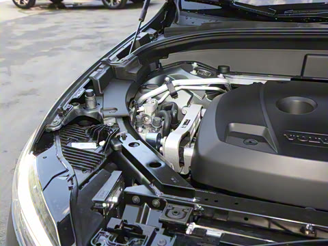 2026�� ���ʽ�춯 ������������Զ������